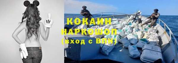 Альфа ПВП Алзамай