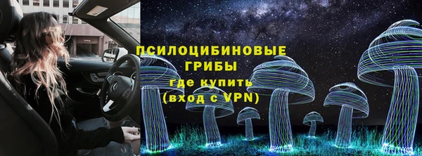 Альфа ПВП Алзамай