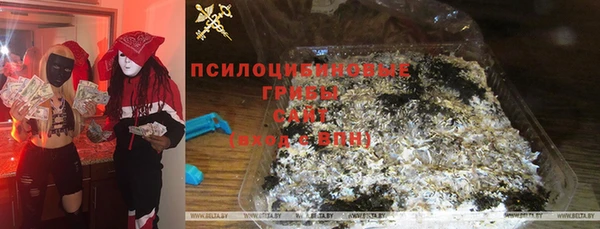 Альфа ПВП Алзамай