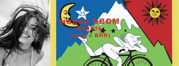 PSILOCYBIN Покачи