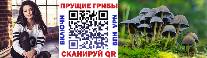 Псилоцибиновые грибы Magic Shrooms  Буй 